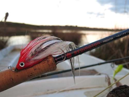 brochet a la mouche,mouche brochet,grosses mouches à brochets,peche du brochet a la mouche,jean-baptiste vidal guide de pêche à la mouche,enjoy fishing