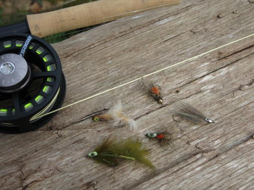 pêche à la mouche en bretagne,condition de pêche pour l'ouverture 2019,pêche de la truite en bretagne,pêche du saumon en bretagne,jean-baptiste vidal moniteur-guide de pêche,enjoy fishing