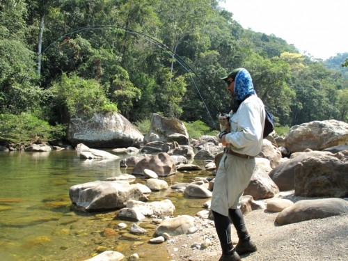 tsimane lodge, dorado, bolivie, pacu, pêche a la mouche, jungle bolivienne, untamed angling, enjoyfishing