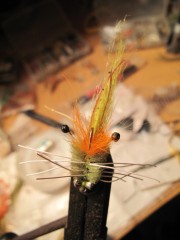 Mexique, Ascencion Bay, Punta Allen, permit, bonefish, tarpon, snook, peche a la mouche, fly fishing, Mexico