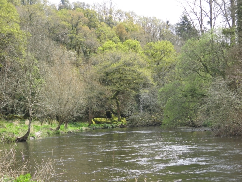 peche du saumon en Bretagne, saumon atlantique en France, meilleures rivières à saumon de Bretagne, guide de pêche au saumon, Jean-Baptiste Vidal guide de pêche à la mouche en Bretagne, Enjoy Fishing, Guide de pêche bretagne