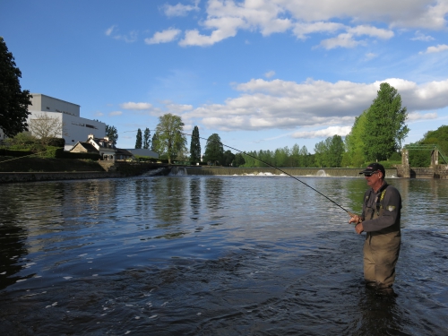 Pêche des migrateurs, pêche du saumon en Bretagne, pêche de l'alose en Bretagne, Jean-Baptiste Vidal guide de pêche, pêche à la mouche en Bretagne, Alose, saumon, Enjoy Fishing