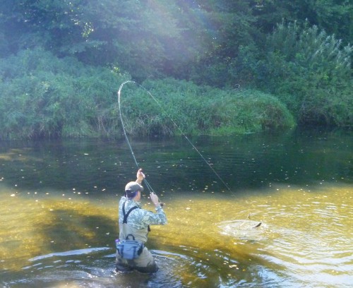 Saumon, bretagne, saumon à la mouche, pêche à vue, rivière bretonnes, triplé de saumons, Finistère, Elorn, Ellé, Aven,