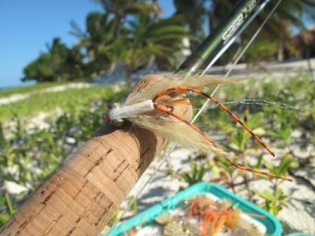 Mexique, Ascencion Bay, Punta Allen, permit, bonefish, tarpon, snook, peche a la mouche, fly fishing, Mexico