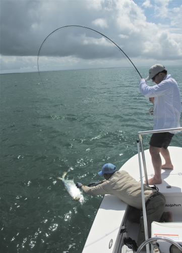 cuba,cayo santa maria,les jardins du roi,pêche du tarpon à la mouche,hosted trip jean-baptiste vidal guide de pêche,enjoy fishing