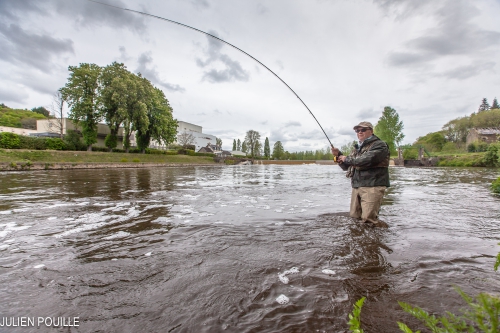 Pêche des migrateurs, pêche du saumon en Bretagne, pêche de l'alose en Bretagne, Jean-Baptiste Vidal guide de pêche, pêche à la mouche en Bretagne, Alose, saumon, Enjoy Fishing