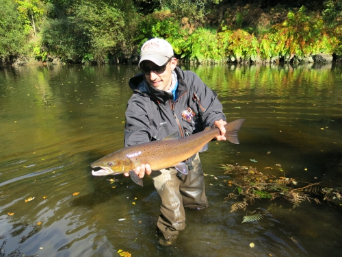 BIlan peche des migrateurs en Bretagne, Report fin de saison saumon, Compte rendu saison saumon Bretagne, Jean-Baptiste Vidal Guide de peche à la mouche en Bretagne, Enjoy FIshing