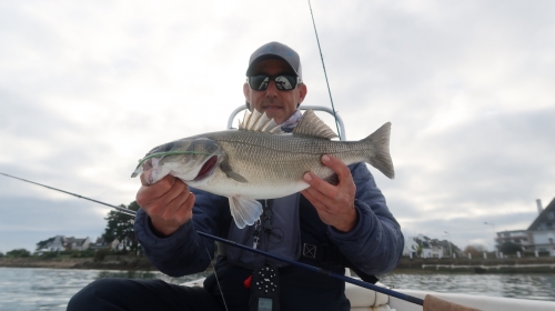 bar à la mouche, pêche du bar, guide pêche mouche bar, gros bar à la mouche, streamer à bar, pêche du bar en bretagne, jean-baptiste Vidal Moniteur-Guide de pêche, Enjoy Fishing,