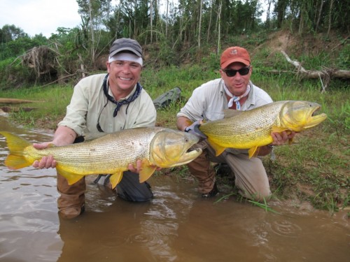 tsimane lodge, dorado, bolivie, pacu, pêche a la mouche, jungle bolivienne, untamed angling, enjoyfishing