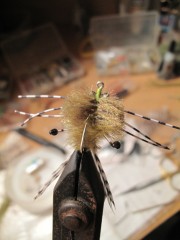 Mexique, Ascencion Bay, Punta Allen, permit, bonefish, tarpon, snook, peche a la mouche, fly fishing, Mexico