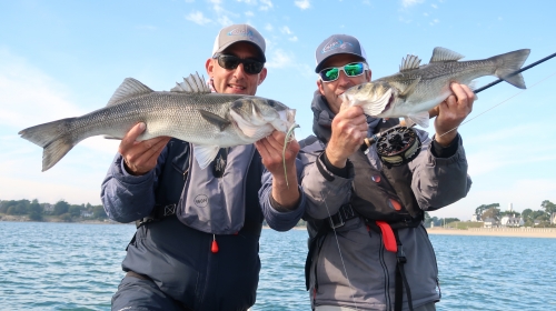 bar à la mouche, pêche du bar, guide pêche mouche bar, gros bar à la mouche, streamer à bar, pêche du bar en bretagne, jean-baptiste Vidal Moniteur-Guide de pêche, Enjoy Fishing,