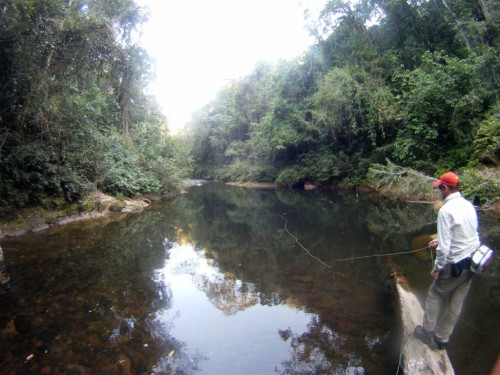 tsimane lodge, dorado, bolivie, pacu, pêche a la mouche, jungle bolivienne, untamed angling, enjoyfishing