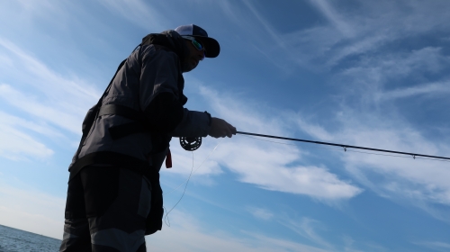 bar à la mouche, pêche du bar, guide pêche mouche bar, gros bar à la mouche, streamer à bar, pêche du bar en bretagne, jean-baptiste Vidal Moniteur-Guide de pêche, Enjoy Fishing,