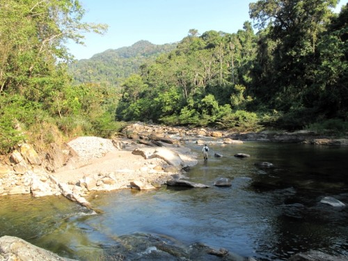 tsimane lodge, dorado, bolivie, pacu, pêche a la mouche, jungle bolivienne, untamed angling, enjoyfishing