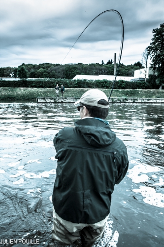 Pêche des migrateurs, pêche du saumon en Bretagne, pêche de l'alose en Bretagne, Jean-Baptiste Vidal guide de pêche, pêche à la mouche en Bretagne, Alose, saumon, Enjoy Fishing
