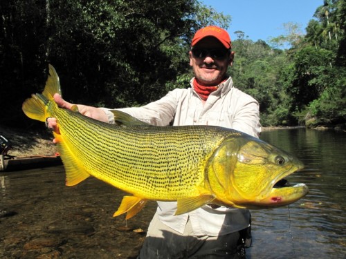 tsimane lodge, dorado, bolivie, pacu, pêche a la mouche, jungle bolivienne, untamed angling, enjoyfishing