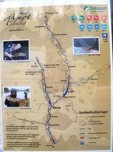 Norvège, Rena river, truites, ombres, brochets, pêche en sèche, dry fly fishing, enjoy fishing