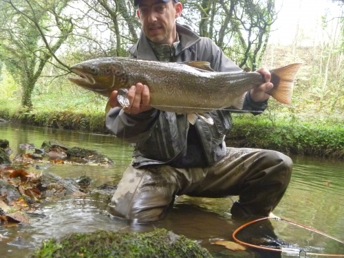 Bilan de la saison saumon en bretagne, saumon à la mouche, saumon en Bretagne, bilan de la saison migrateur, alose, saumon, truite de mer, Enjoy Fishing, Jean Baptiste Vidal