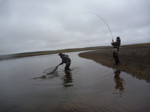 truite de mer, rio grande, argentine, Nervous Waters, peche a la mouche, sea trout, Rio Grande, Argentina, fly fishing, enjoy fishing