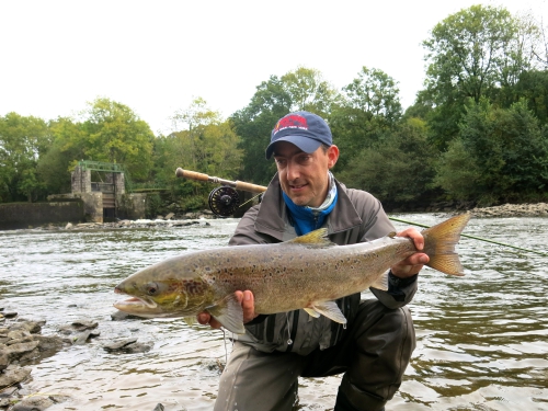 Bilan de la saison saumon en bretagne, saumon à la mouche, saumon en Bretagne, bilan de la saison migrateur, alose, saumon, truite de mer, Enjoy Fishing, Jean Baptiste Vidal