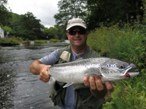 Peche des migrateurs, aloses à la mouche, saumons en Bretagne, Enjoy Fishing, Jean-Baptiste Vidal guide de pêche à la mouche