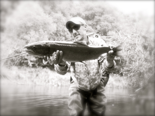 bilan peche des migrateurs en bretagne,report fin de saison saumon,compte rendu saison saumon bretagne,jean-baptiste vidal guide de peche à la mouche en bretagne,enjoy fishing