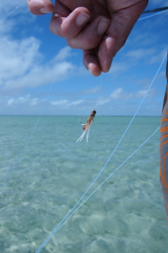 Cuba, Cayo Cruz, Avalon, pêche du permit et du tarpon, Jean-Baptiste Vidal guide de pêche à la mouche en Bretagne