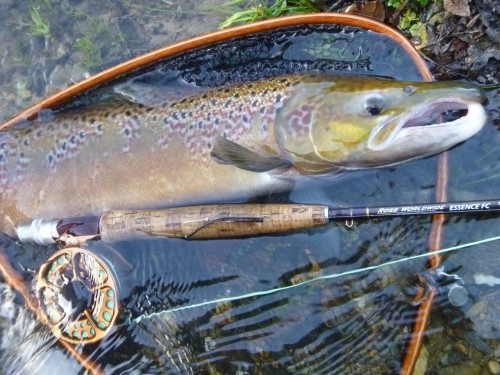 pêche du saumon,saumon atlantique,saumon à la mouche,pêche en bretagne,pêche des castillons,rivière ellé,elorn,aven,jean-baptiste vidal,enjoy fishing