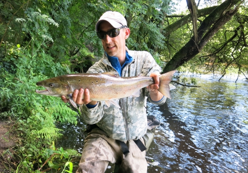 bilan peche des migrateurs en bretagne,report fin de saison saumon,compte rendu saison saumon bretagne,jean-baptiste vidal guide de peche à la mouche en bretagne,enjoy fishing