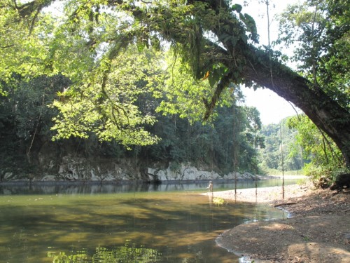 tsimane lodge, dorado, bolivie, pacu, pêche a la mouche, jungle bolivienne, untamed angling, enjoyfishing