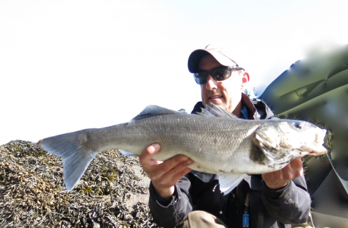 bar à vue à la mouche,bar à la mouche,bar à vue,pêche du bar,bar en estuaire,jean-baptiste vidal guide de pêche à la mouche,enjoy fishing