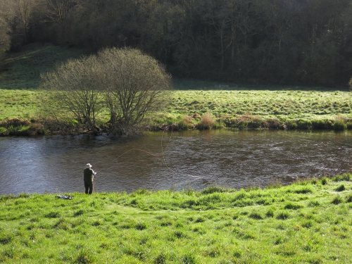 Pêche des migrateurs, pêche du saumon en Bretagne, pêche de l'alose en Bretagne, Jean-Baptiste Vidal guide de pêche, pêche à la mouche en Bretagne, Alose, saumon, Enjoy Fishing