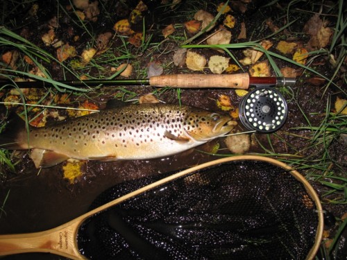 Norvège, Rena river, truites, ombres, brochets, pêche en sèche, dry fly fishing, enjoy fishing