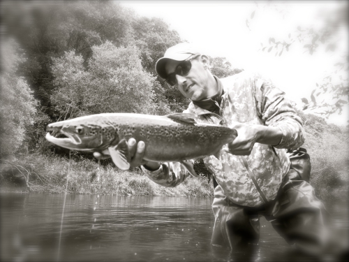 bilan peche des migrateurs en bretagne,report fin de saison saumon,compte rendu saison saumon bretagne,jean-baptiste vidal guide de peche à la mouche en bretagne,enjoy fishing