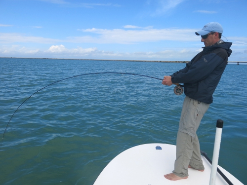 cuba,cayo santa maria,les jardins du roi,pêche du tarpon à la mouche,hosted trip jean-baptiste vidal guide de pêche,enjoy fishing