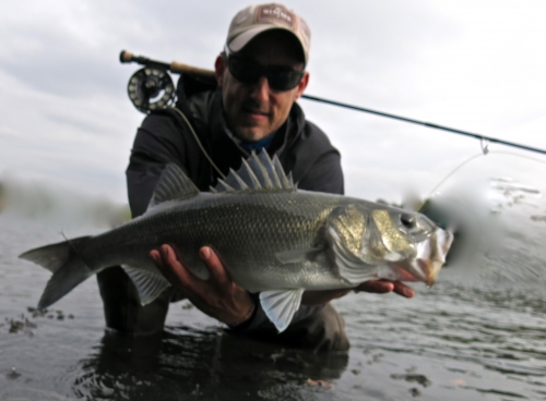 peche du saumon en bretagne,saumon atlantique en france,meilleures rivières à saumon de bretagne,guide de pêche au saumon,jean-baptiste vidal guide de pêche à la mouche en bretagne,enjoy fishing,guide de pêche bretagne