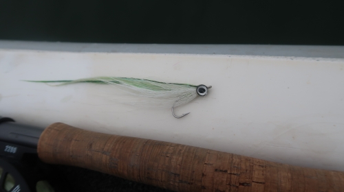 bar à la mouche,pêche du bar,guide pêche mouche bar,gros bar à la mouche,streamer à bar,pêche du bar en bretagne,jean-baptiste vidal moniteur-guide de pêche,enjoy fishing