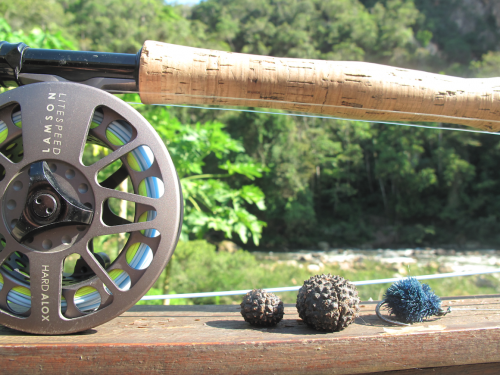 histoire de pêche, dorado, pacu à la mouche, pêche du pacu, gros pacu en sèche, Tsimane lodge, dorado et pacu bolivien, Jean-Baptiste Vidal Moniteur-Guide de pêche à la mouche, Enjoy Fishing