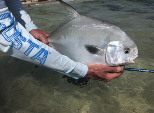 pêche du permit,permit à la mouche,voyage en diy au mexique,pêche du permit au mexique,la fièvre du permit,pêche à la mouche exotique,jean-baptiste vidal moniteur-guide de pêche,enjoy fishing,truites&cie