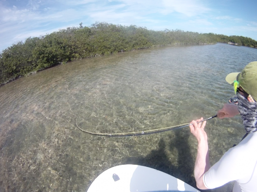 cuba,cayo santa maria,les jardins du roi,pêche du tarpon à la mouche,hosted trip jean-baptiste vidal guide de pêche,enjoy fishing