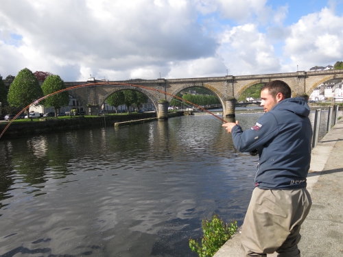 alose en bretagne,alose à la mouche,guide de pêche alose,peche de l'alose,aulne,blavet,enjoy fishing,jean-baptiste vidal guide de pêche en bretagne