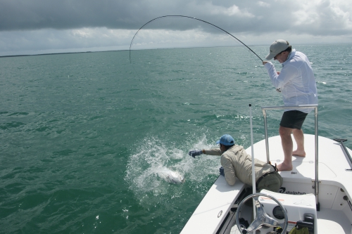 cuba,cayo santa maria,les jardins du roi,pêche du tarpon à la mouche,hosted trip jean-baptiste vidal guide de pêche,enjoy fishing