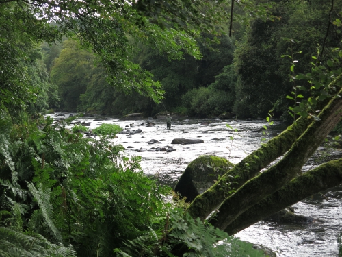 peche du saumon en bretagne,saumon atlantique en france,meilleures rivières à saumon de bretagne,guide de pêche au saumon,jean-baptiste vidal guide de pêche à la mouche en bretagne,enjoy fishing,guide de pêche bretagne