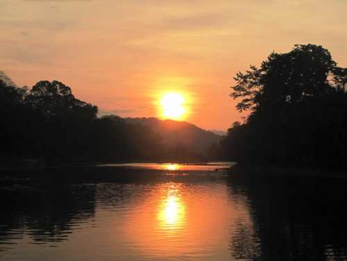 histoire de pêche, dorado, pacu à la mouche, pêche du pacu, gros pacu en sèche, Tsimane lodge, dorado et pacu bolivien, Jean-Baptiste Vidal Moniteur-Guide de pêche à la mouche, Enjoy Fishing