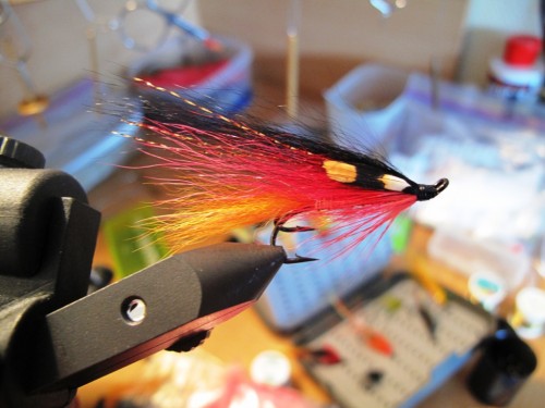 saumon, pêche a la mouche, salmo salar, Yokanga, Penisule de Kola, Russie, Fly Fish Yokanga