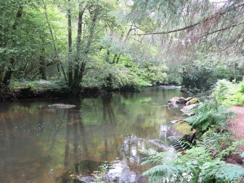 peche du saumon en Bretagne, saumon atlantique en France, meilleures rivières à saumon de Bretagne, guide de pêche au saumon, Jean-Baptiste Vidal guide de pêche à la mouche en Bretagne, Enjoy Fishing, Guide de pêche bretagne