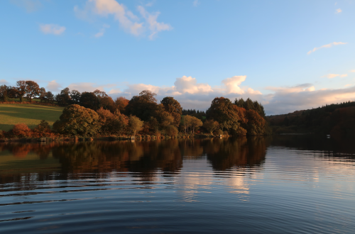 Master Class, pêche en réservoir, stage de pêche réservoir, pêche à la mouche, Jean-Baptiste Vidal Moniteur-Guide de pêche