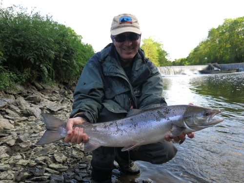 peche du saumon en Bretagne, saumon atlantique en France, meilleures rivières à saumon de Bretagne, guide de pêche au saumon, Jean-Baptiste Vidal guide de pêche à la mouche en Bretagne, Enjoy Fishing, Guide de pêche bretagne