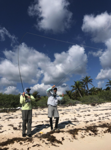 pêche du permit,permit à la mouche,voyage en diy au mexique,pêche du permit au mexique,la fièvre du permit,pêche à la mouche exotique,jean-baptiste vidal moniteur-guide de pêche,enjoy fishing,truites&cie