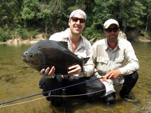 tsimane lodge, dorado, bolivie, pacu, pêche a la mouche, jungle bolivienne, untamed angling, enjoyfishing